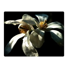 Two White Magnolia Flowers Double Sided Flano Blanket (mini)  by FunnyCow