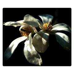 Two White Magnolia Flowers Double Sided Flano Blanket (small)  by FunnyCow