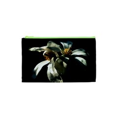 Two White Magnolia Flowers Cosmetic Bag (xs) by FunnyCow