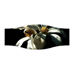 Two White Magnolia Flowers Stretchable Headband by FunnyCow