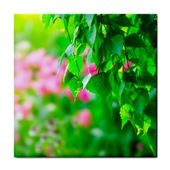 Green Birch Leaves, Pink Flowers Tile Coasters