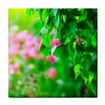 Green Birch Leaves, Pink Flowers Tile Coasters Front