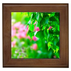 Green Birch Leaves, Pink Flowers Framed Tiles by FunnyCow