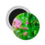 Green Birch Leaves, Pink Flowers 2.25  Magnets Front