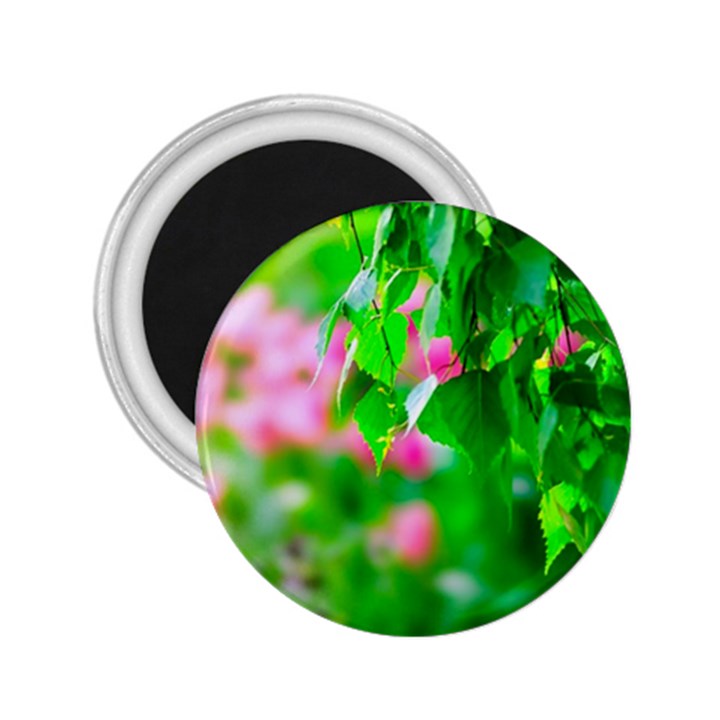 Green Birch Leaves, Pink Flowers 2.25  Magnets