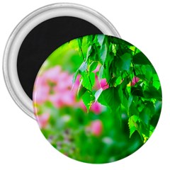 Green Birch Leaves, Pink Flowers 3  Magnets