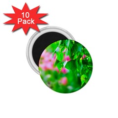 Green Birch Leaves, Pink Flowers 1 75  Magnets (10 Pack)  by FunnyCow