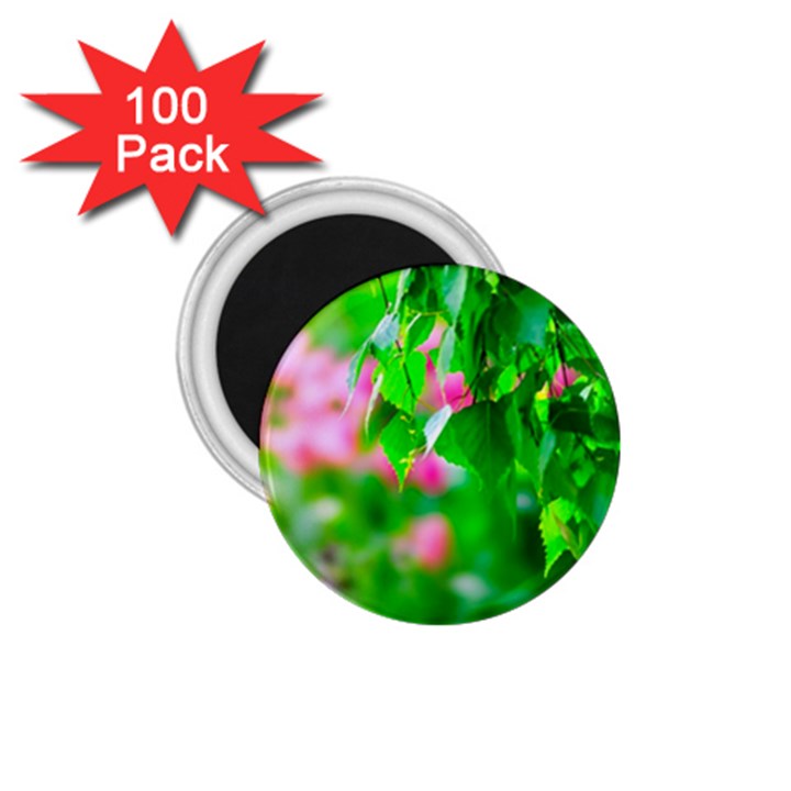 Green Birch Leaves, Pink Flowers 1.75  Magnets (100 pack) 