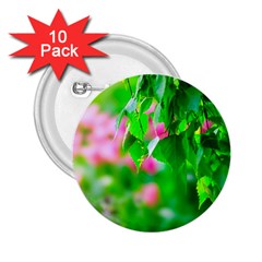 Green Birch Leaves, Pink Flowers 2.25  Buttons (10 pack) 