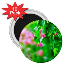 Green Birch Leaves, Pink Flowers 2.25  Magnets (10 pack) 