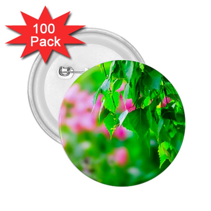 Green Birch Leaves, Pink Flowers 2.25  Buttons (100 pack) 