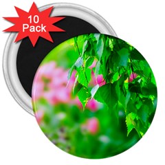 Green Birch Leaves, Pink Flowers 3  Magnets (10 Pack)  by FunnyCow