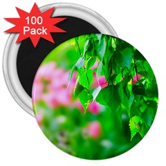 Green Birch Leaves, Pink Flowers 3  Magnets (100 pack)