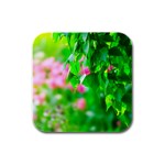 Green Birch Leaves, Pink Flowers Rubber Square Coaster (4 pack)  Front