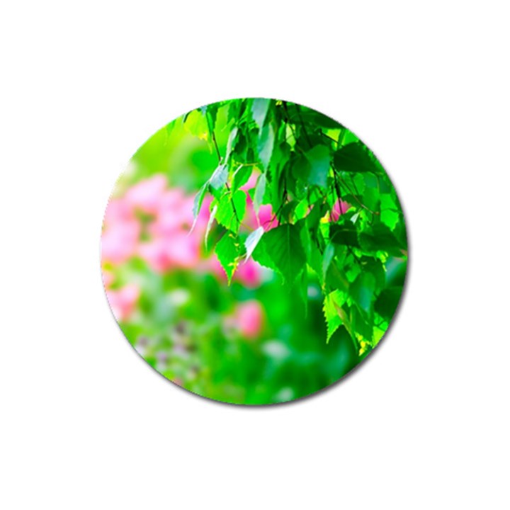 Green Birch Leaves, Pink Flowers Magnet 3  (Round)