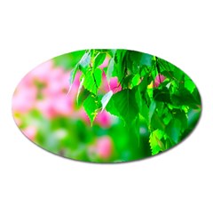 Green Birch Leaves, Pink Flowers Oval Magnet by FunnyCow