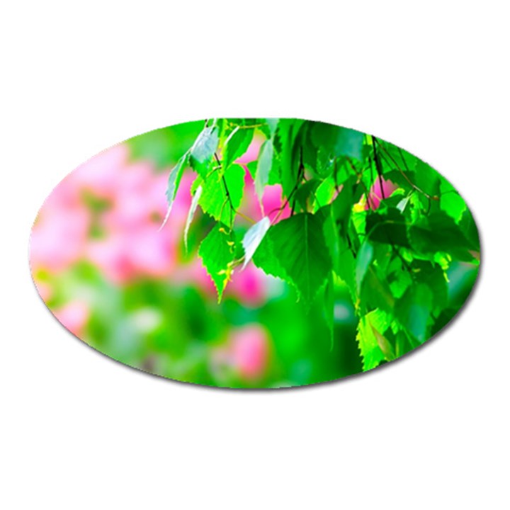 Green Birch Leaves, Pink Flowers Oval Magnet