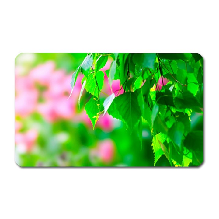 Green Birch Leaves, Pink Flowers Magnet (Rectangular)