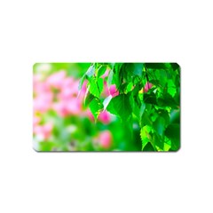 Green Birch Leaves, Pink Flowers Magnet (Name Card)