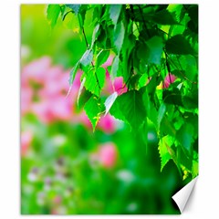 Green Birch Leaves, Pink Flowers Canvas 8  x 10 