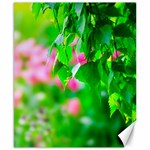 Green Birch Leaves, Pink Flowers Canvas 8  x 10  8.15 x9.66  Canvas - 1