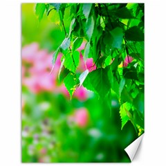 Green Birch Leaves, Pink Flowers Canvas 12  X 16   by FunnyCow