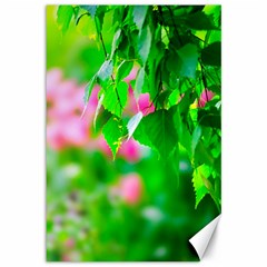 Green Birch Leaves, Pink Flowers Canvas 12  x 18  