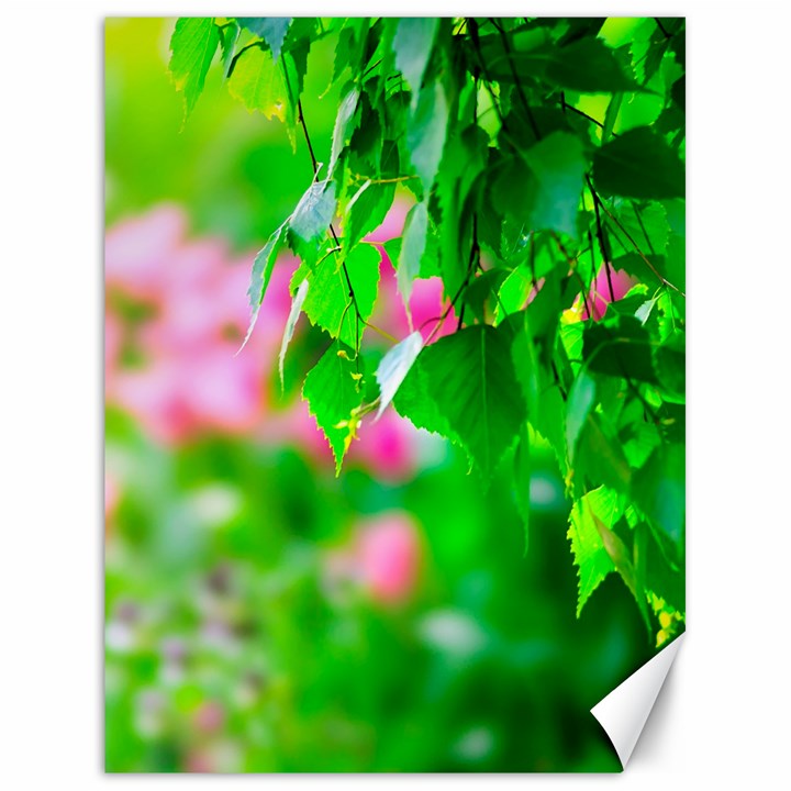 Green Birch Leaves, Pink Flowers Canvas 18  x 24  