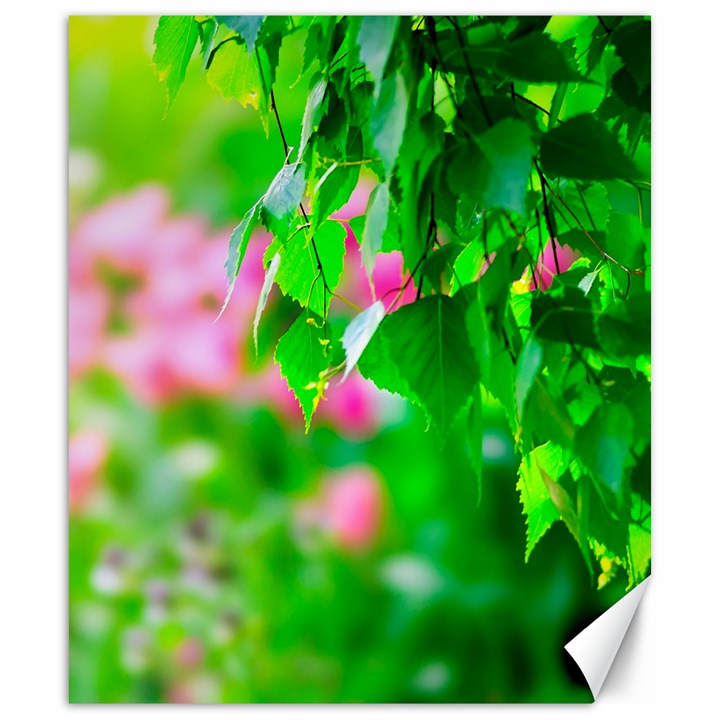 Green Birch Leaves, Pink Flowers Canvas 20  x 24  