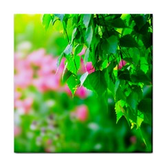 Green Birch Leaves, Pink Flowers Face Towel