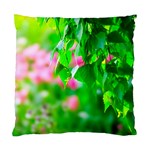 Green Birch Leaves, Pink Flowers Standard Cushion Case (One Side) Front