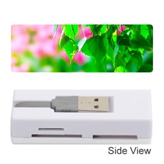 Green Birch Leaves, Pink Flowers Memory Card Reader (stick) by FunnyCow