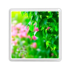 Green Birch Leaves, Pink Flowers Memory Card Reader (Square)