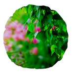 Green Birch Leaves, Pink Flowers Large 18  Premium Flano Round Cushions Front