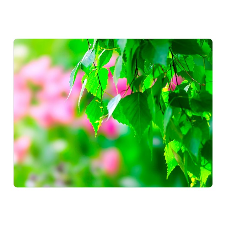 Green Birch Leaves, Pink Flowers Double Sided Flano Blanket (Mini) 