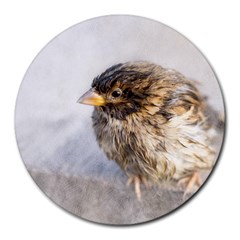 Funny Wet Sparrow Bird Round Mousepads by FunnyCow