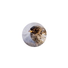 Funny Wet Sparrow Bird 1  Mini Magnets by FunnyCow