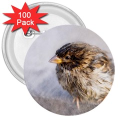 Funny Wet Sparrow Bird 3  Buttons (100 Pack)  by FunnyCow