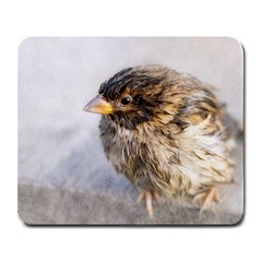 Funny Wet Sparrow Bird Large Mousepads by FunnyCow