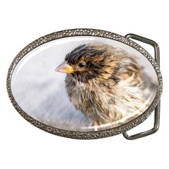 Funny Wet Sparrow Bird Belt Buckles by FunnyCow