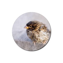 Funny Wet Sparrow Bird Rubber Round Coaster (4 Pack)  by FunnyCow