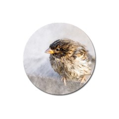 Funny Wet Sparrow Bird Magnet 3  (round) by FunnyCow