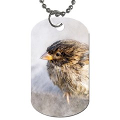 Funny Wet Sparrow Bird Dog Tag (two Sides) by FunnyCow