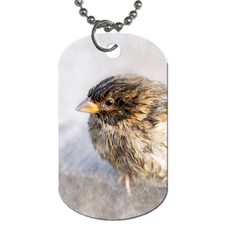 Funny Wet Sparrow Bird Dog Tag (Two Sides)