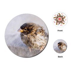 Funny Wet Sparrow Bird Playing Cards (round)  by FunnyCow