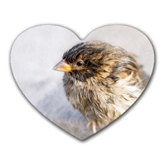 Funny Wet Sparrow Bird Heart Mousepads by FunnyCow