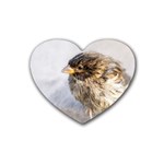 Funny Wet Sparrow Bird Rubber Coaster (Heart)  Front