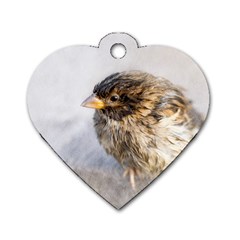 Funny Wet Sparrow Bird Dog Tag Heart (one Side) by FunnyCow