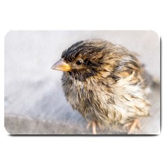 Funny Wet Sparrow Bird Large Doormat  by FunnyCow