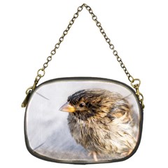 Funny Wet Sparrow Bird Chain Purses (two Sides)  by FunnyCow